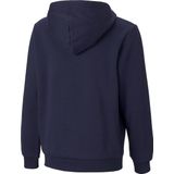Puma - Essentials Big Logo Fl - Sweatshirt - Grijs - Katoen en Gerecycled Polyester