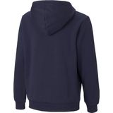 Puma - Essentials Big Logo Fl - Sweatshirt - Grijs - Katoen en Gerecycled Polyester