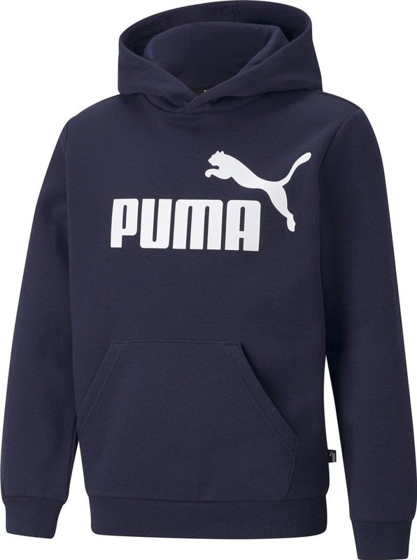 Puma - Essentials Big Logo Fl - Sweatshirt - Grijs - Katoen en Gerecycled Polyester
