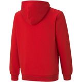 Puma - Essential Big Logo Hoodie - Rood - 5-6 Jaar - Jongen
