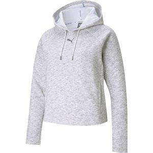 Puma Evostripe Hoodie Grijs Vrouw