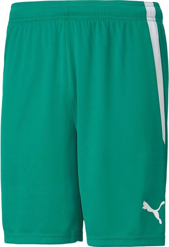teamLIGA Short Junior Sportbroek Unisex - Blauw - Polyester