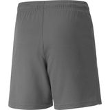 Puma Teamliga Short Kinderen - Grijs