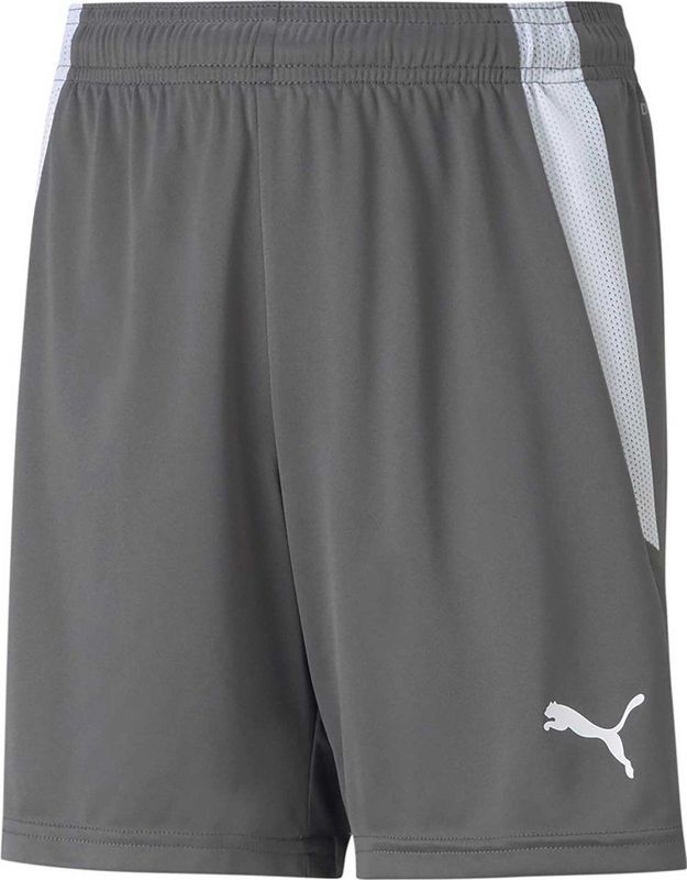 Puma Teamliga Short Kinderen - Grijs