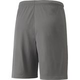 Puma Teamliga Short Kinderen - Grijs