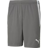 Puma Teamliga Short Kinderen - Grijs