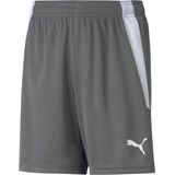 Puma Teamliga Short Kinderen - Grijs
