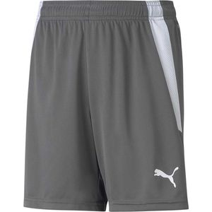 Puma Teamliga Short Kinderen - Grijs