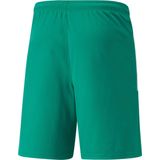 Puma - Team Liga - Sportbroek - Zwart - Polyester