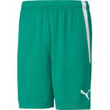 Puma - Team Liga - Sportbroek - Zwart - Polyester