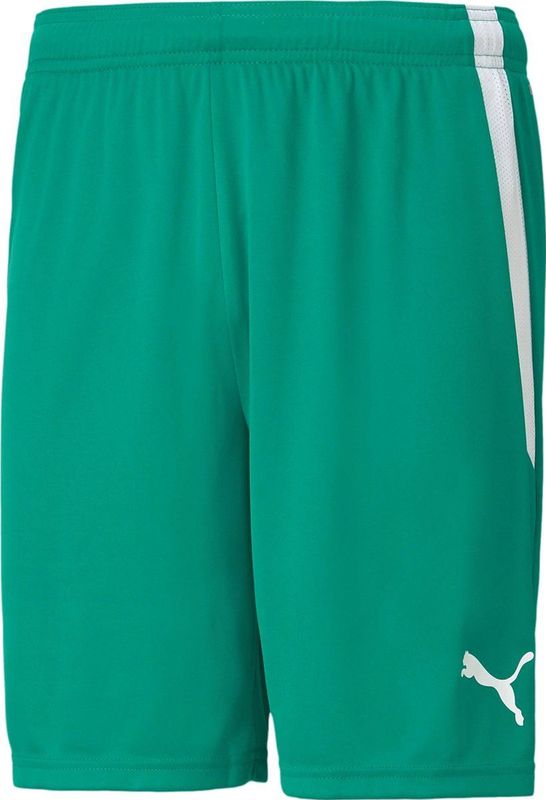 Puma - Team Liga - Sportbroek - Zwart - Polyester