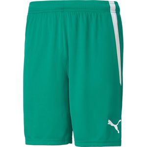 PUMA - Teamliga - Shorts - Groen - Sportkleding