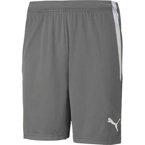 Puma Teamliga Short Heren - Grijs