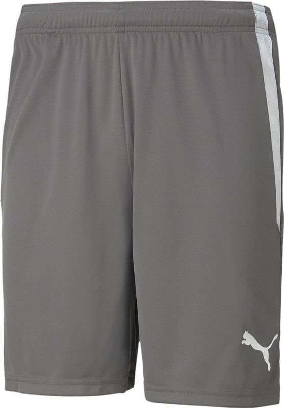Puma Teamliga Shorts 13 Shorts - Sportwear - Volwassen