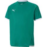 Puma teamLIGA Sportshirt Unisex6