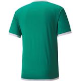 Puma teamLIGA Sportshirt Unisex6