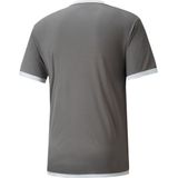 Koszulka Puma TeamLiga