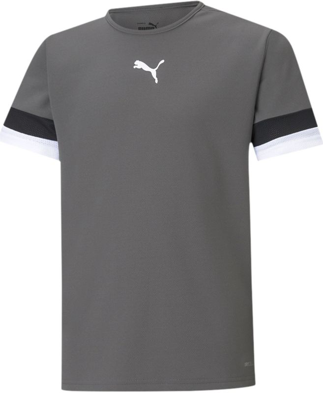 Puma Junge TeamRISE Trainings Trikot Smoked Pearl / Puma Schwarz / Puma Weiss