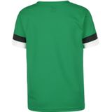 Puma Teamrise Shirt Korte Mouw Kinderen - Groen