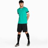 Puma - Teamrise - Sportshirt - Groen - Korte Mouw