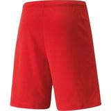 Puma - teamRISE - Korte Broek - Zwart - Met Verstelbare Tailleband en dryCELL