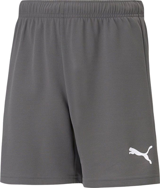 PUMA - TeamRise Jr - Korte Broeken - Gerookte Parel - Uniseks