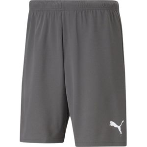 PUMA - teamRISE - Shorts - Grijs - 68% Katoen, 32% Polyester, Elastische Tailleband, Zijzakken