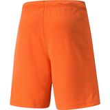Puma - Teamrise Short - Hemelsblauw - 100% Polyester