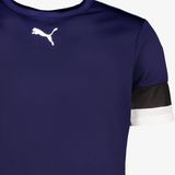 Puma Teamrise Jersey Blauw T-Shirt - Sportwear - Volwassen