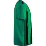 TeamLIGA - Voetbalshirt - Zwart - Polyester - Met Raglanmouwen