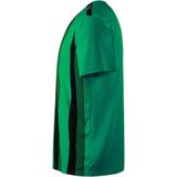 TeamLIGA - Voetbalshirt - Zwart - Polyester - Met Raglanmouwen