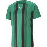 TeamLIGA - Voetbalshirt - Zwart - Polyester - Met Raglanmouwen