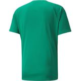 Puma - Team Liga Striped - Sportshirt