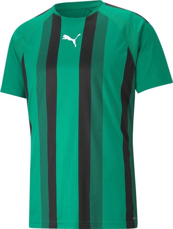Puma - Team Liga Striped - Sportshirt