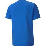 Puma - Team Liga - Sportshirt - Met Verticale Strepen