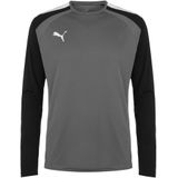 Puma - Long Sleeve Training Top - Grijs - Katoen