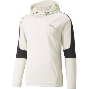 Puma Evostripe Warm Hoodie