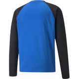 Puma - Teamliga - Sweatshirt - 100% Gerecycled Polyester
