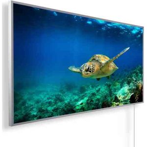 Infrarood paneel | Infrarood verwarming met thermostaat | 800W | panorama afbeelding 13 |