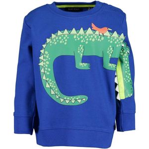 Kleine Jongens - Sweatshirt - Blauw - Katoen