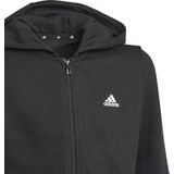 adidas Essentials Full-Zip Hoodie Jr GN4020, voor een jongen, Zwart, Sweatshirt,