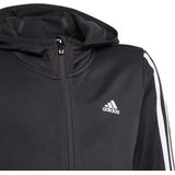 adidas - Hoodie - Zwart - Primegreen - AEROREADY