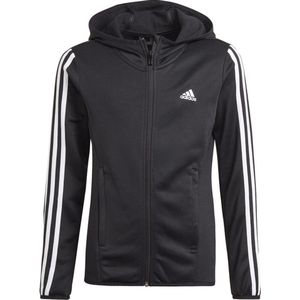 adidas - Hoodie - Zwart - Primegreen - AEROREADY