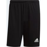 Adidas - Squad 21 - Sportbroek - Zwart - Polyester