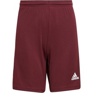 Adidas Squadra 21 Short Kinderen - Bordeaux / Wit