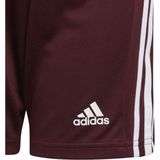 Adidas Squadra 21 Short Kinderen - Bordeaux / Wit