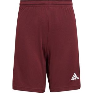 Adidas Squadra 21 Short Kinderen - Bordeaux / Wit