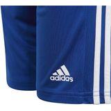 adidas - Squadra 21 - Korte Broeken - Zwart - 100% Gerecycled Polyester