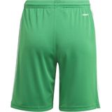 adidas - Squadra 21 Shorts Youth - Groen Voetbalbroekje Groen