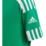 Adidas Squadra Shirt Korte Mouw Kinderen - Groen Wit